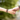 Mevas makramee armbänder handgemacht in zürich